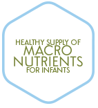 babymeal healthy baby food