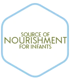 babymeal healthy baby food